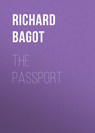 Обложка книги «The Passport»