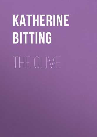 Обложка книги «The Olive»