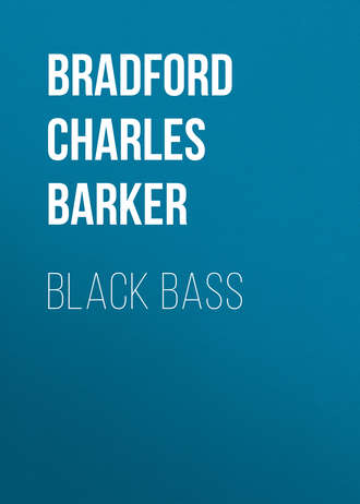 Обложка книги «Black Bass»