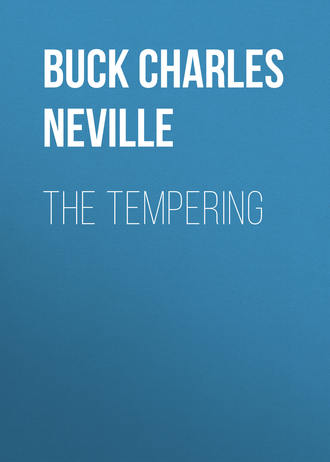 Обложка книги «The Tempering»