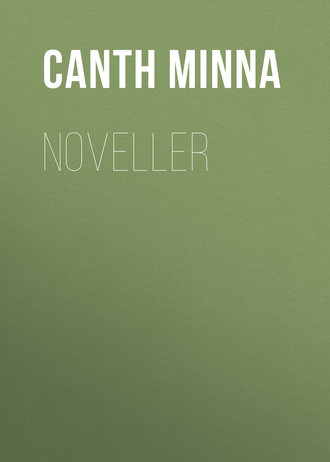 Обложка книги «Noveller»