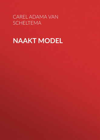 Обложка книги «Naakt model»