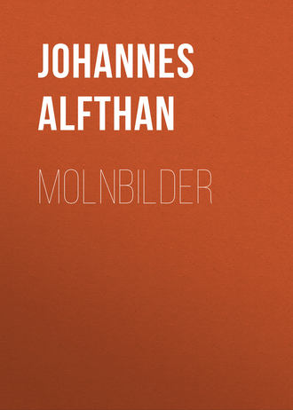 Обложка книги «Molnbilder»
