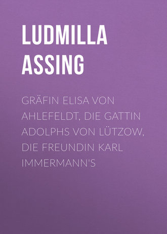 Обложка книги «Gräfin Elisa von Ahlefeldt, die Gattin Adolphs von Lützow, die Freundin Karl Immermann's»