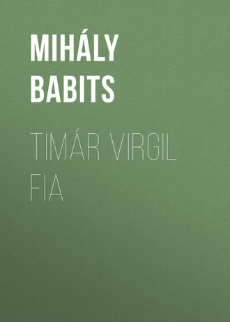 Обложка книги «Timár Virgil fia»
