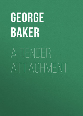 Обложка книги «A Tender Attachment»