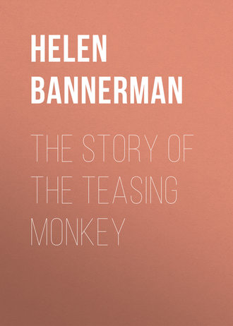 Обложка книги «The Story of the Teasing Monkey»