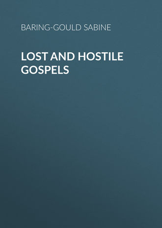 Обложка книги «Lost and Hostile Gospels»