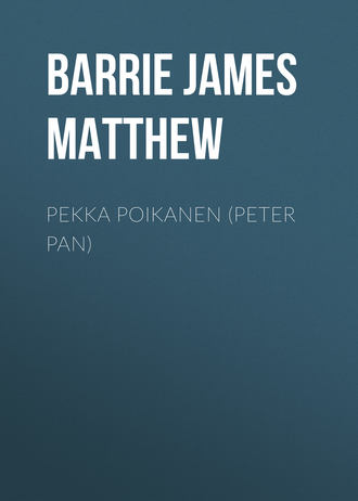 Обложка книги «Pekka Poikanen (Peter Pan)»