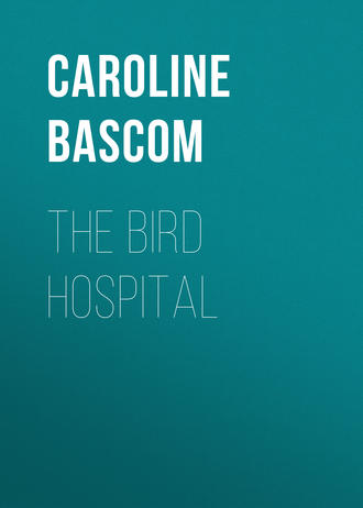 Обложка книги «The Bird Hospital»