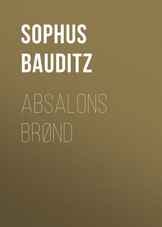 Обложка книги «Absalons Brønd»
