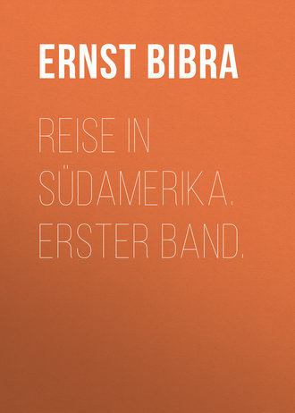 Обложка книги «Reise in Südamerika. Erster Band.»