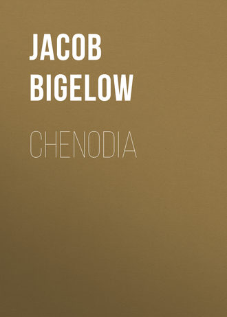 Обложка книги «Chenodia»