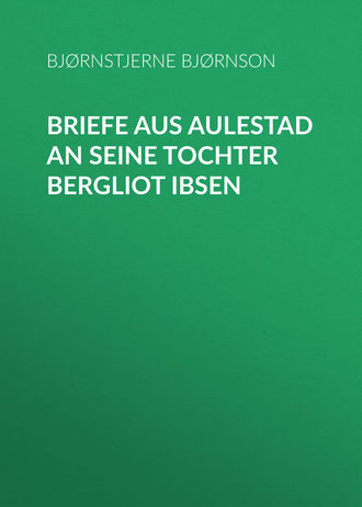 Обложка книги «Briefe aus Aulestad an seine Tochter Bergliot Ibsen»