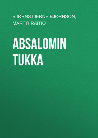 Обложка книги «Absalomin tukka»