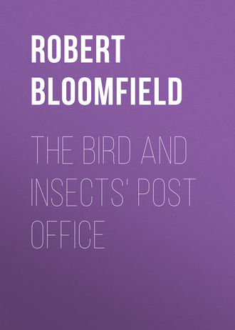 Обложка книги «The Bird and Insects' Post Office»