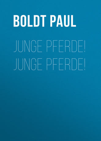 Обложка книги «Junge Pferde! Junge Pferde!»