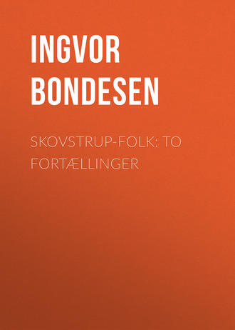 Обложка книги «Skovstrup-Folk: To Fortællinger»