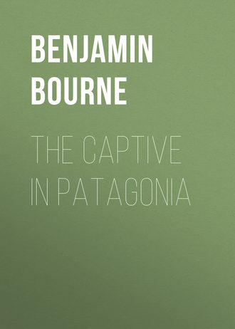 Обложка книги «The Captive in Patagonia»