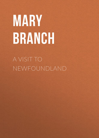 Branch Mary Lydia. A Visit to Newfoundland