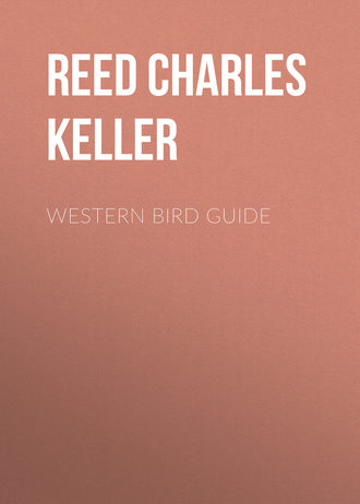 Обложка книги «Western Bird Guide»