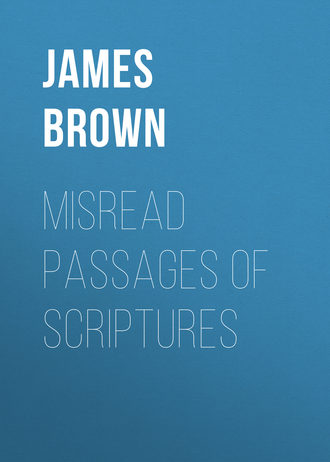 Обложка книги «Misread Passages of Scriptures»