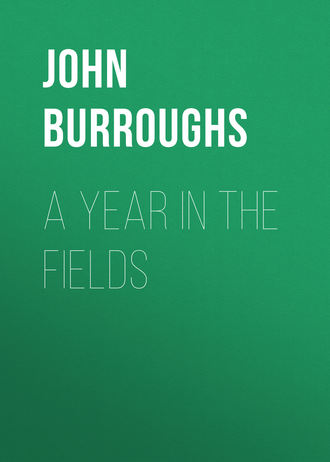 Обложка книги «A Year in the Fields»
