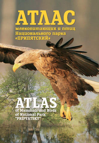 Обложка книги «Атлас млекопитающих и птиц Национального парка «Припятский». Atlas of Mammals and Birds of National Park «Pripyatsky»»