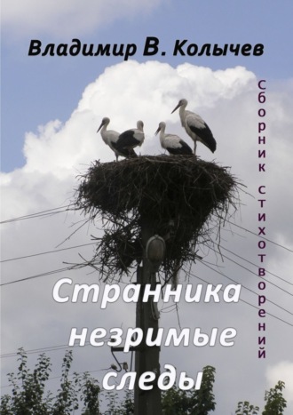 Владимир Васильевич Колычев. Странника незримые следы