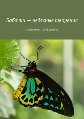 Обложка книги «Бабочки – небесные творения»