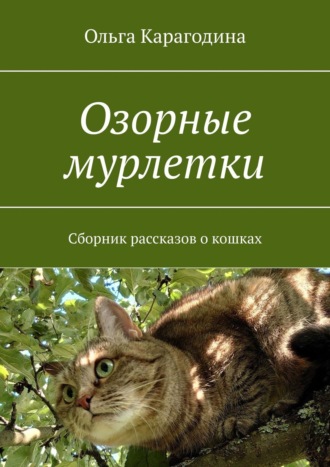 Обложка книги «Озорные мурлетки. Сборник рассказов о кошках»