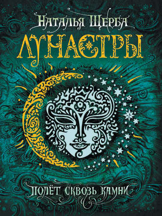 Обложка книги «Полет сквозь камни»