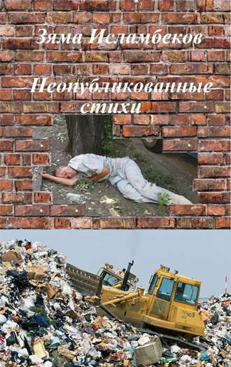 Обложка книги «Неопубликованные стихи»