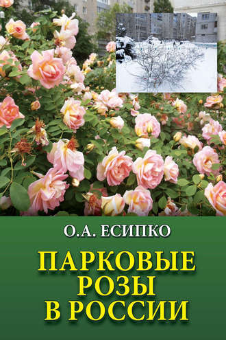 Обложка книги «Парковые розы в России»
