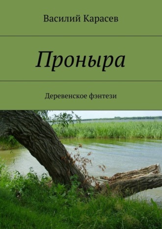 Василий Карасев. Проныра. Деревенское фэнтези