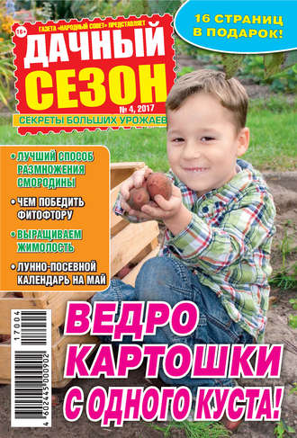 Обложка книги «Дачный сезон №04/2017»