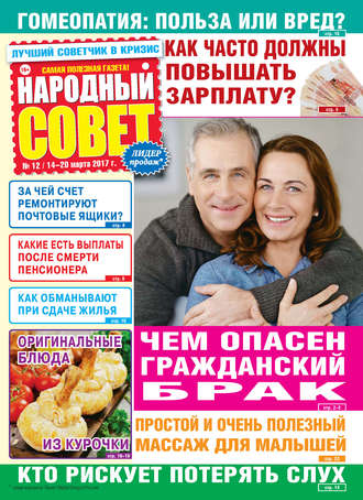 Обложка книги «Народный совет №12/2017»