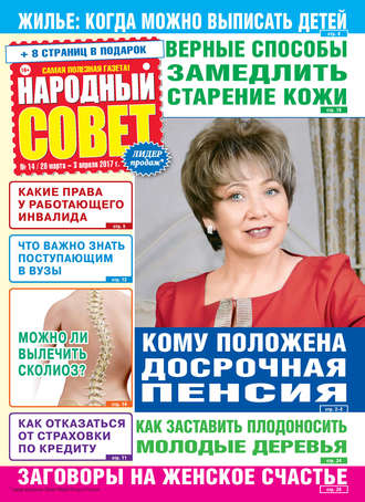 Обложка книги «Народный совет №14/2017»