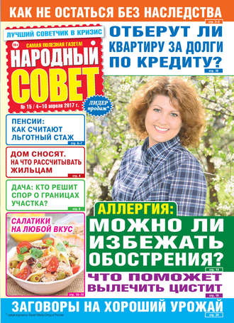Обложка книги «Народный совет №15/2017»