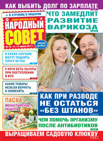 Обложка книги «Народный совет №16/2017»
