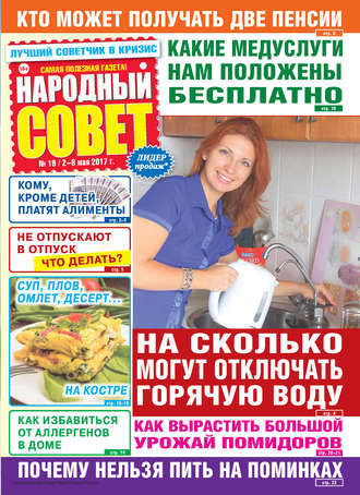 Обложка книги «Народный совет №19/2017»