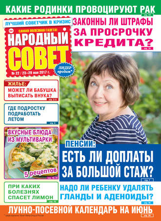 Обложка книги «Народный совет №22/2017»