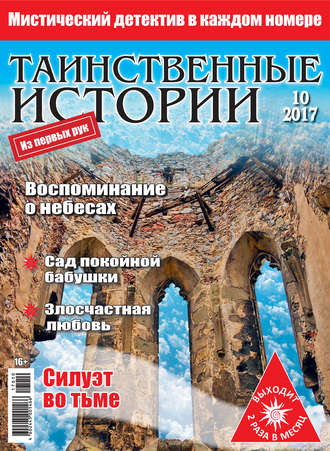 Обложка книги «Таинственные истории №10/2017»