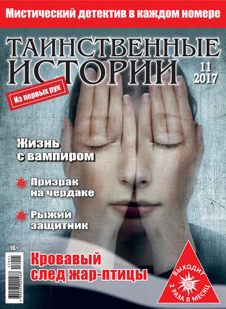 Обложка книги «Таинственные истории №11/2017»