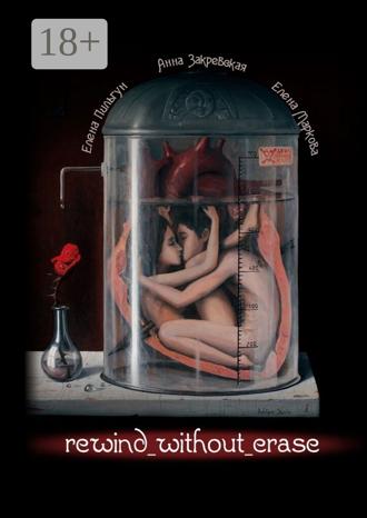 Обложка книги «Rewind without erase»