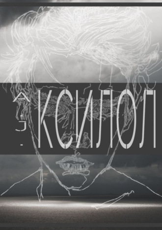 Обложка книги «КСИЛОЛ»