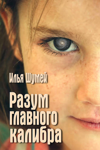 Обложка книги «Разум главного калибра»