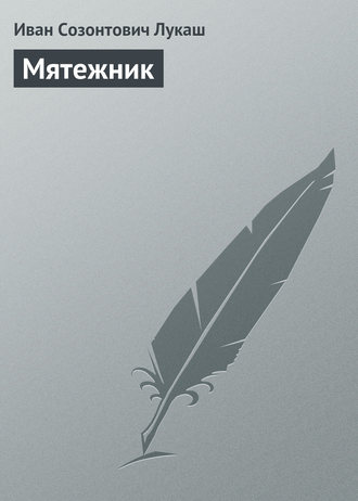 Обложка книги «Мятежник»