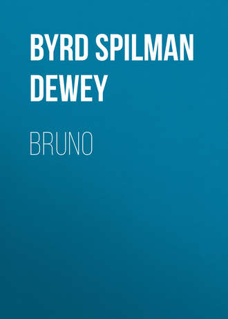Обложка книги «Bruno»