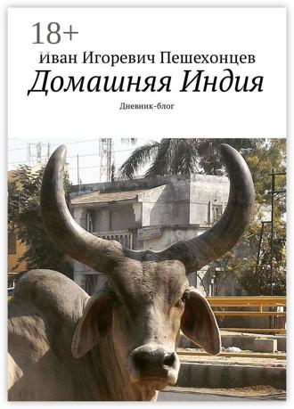 Обложка книги «Домашняя Индия. Дневник-блог»